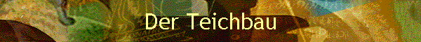 Der Teichbau