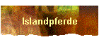 Islandpferde